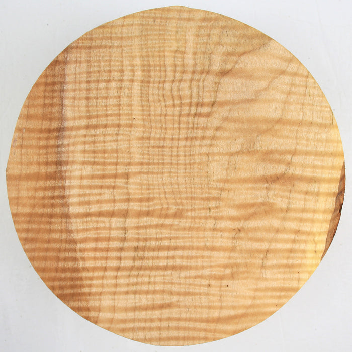 Maple Flame Round, Exceptionally Figured, 7" x 2.6" Thick  - Stock #40819