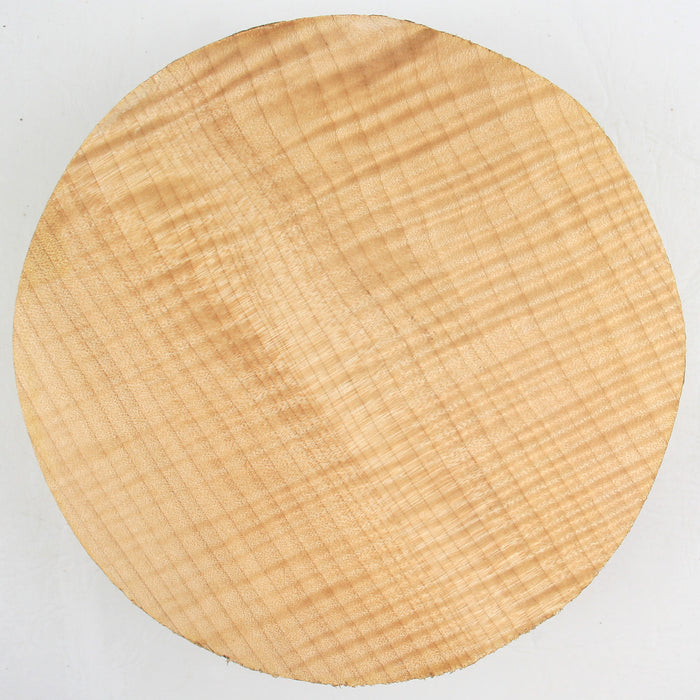 Maple Flame Round, Very Highly Figured, 7"x 2.3" Thick  - Stock #40821