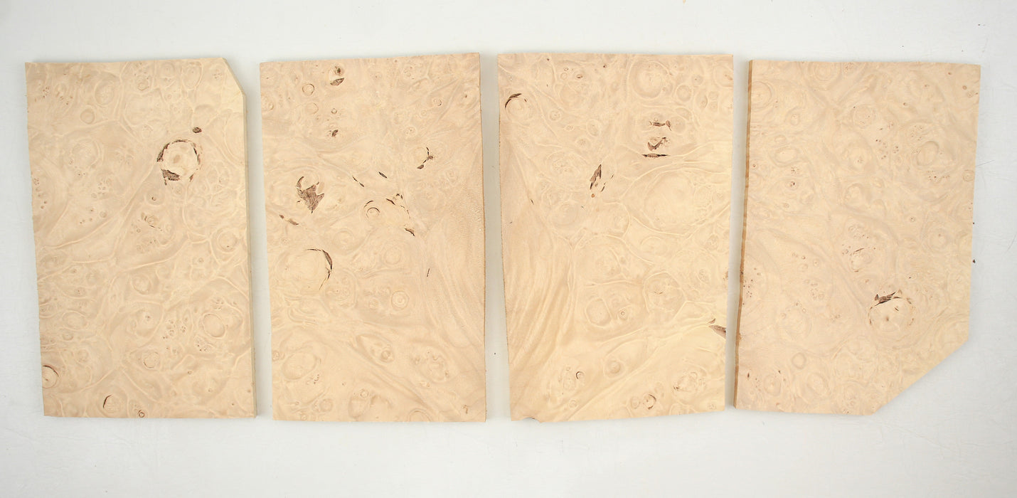 Maple Burl Veneer Plates, Bundle of 4, 7.6mm (0.30") Thick - Stock #40838