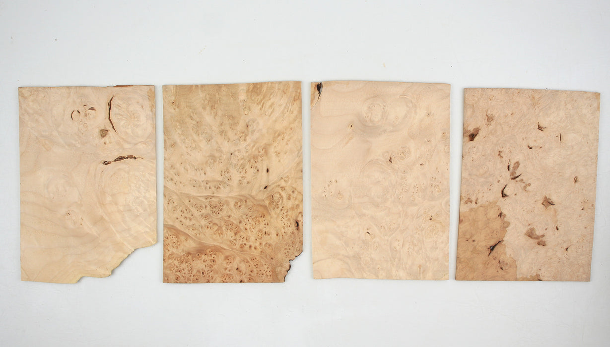 Maple Burl Veneer Plates, Bundle of 4, 4mm (0.15") Thick - Stock #40843