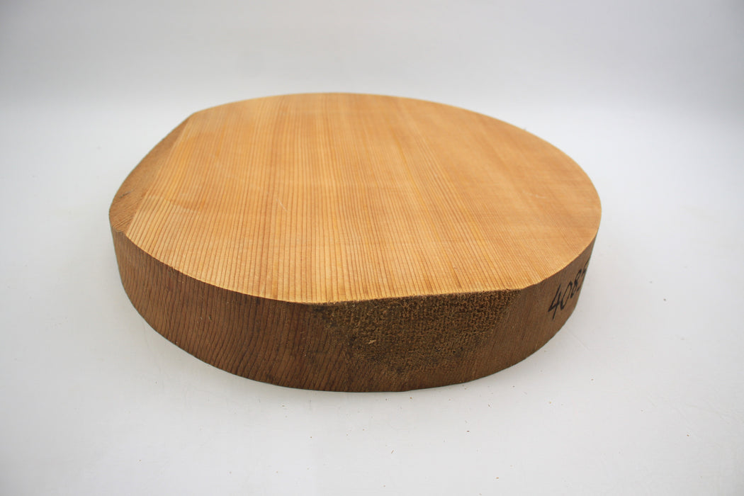 Sitka Spruce Round, 14.1" x 2.3" Thick - Stock #40852