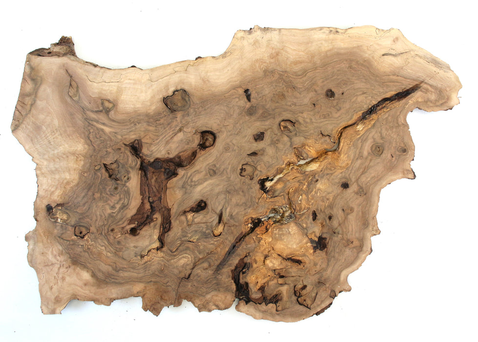 Black Walnut Burl Live Edge Project Slice 21.7" x 13.8" x 0.71"- Stock# 41787