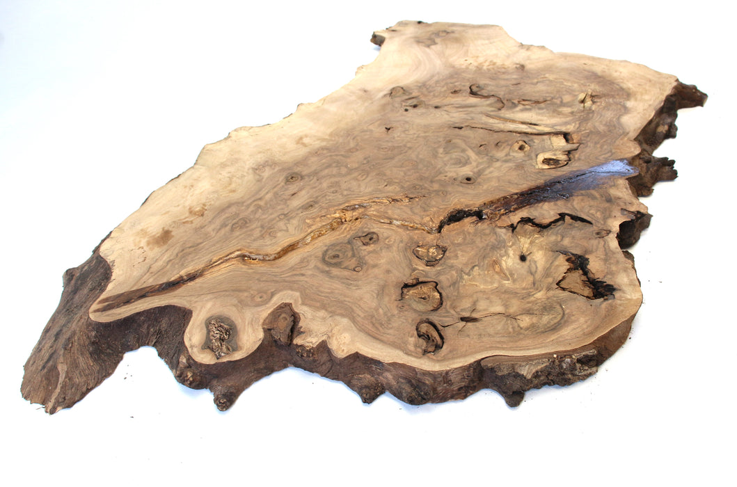 Black Walnut Burl Live Edge Project Slice 21.7" x 13.8" x 0.71"- Stock# 41787
