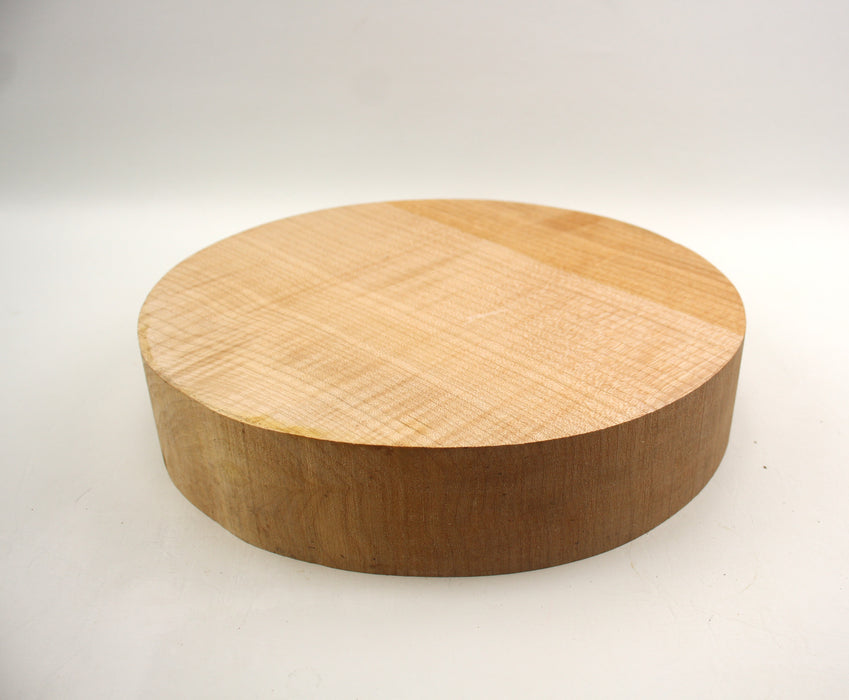 Maple Flame Round, Figured, 11.9" x 2.4" Thick - Stock #40987