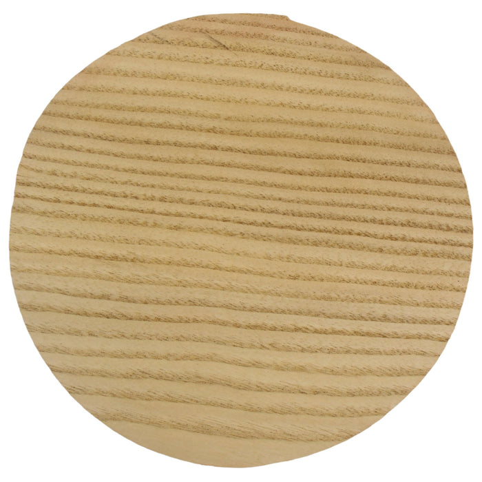 Sassafras Round, 7" x 3.8" Thick - Stock #41125