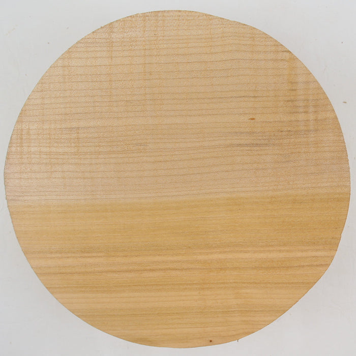 Maple Flame Round, Figured, 8" x 2.4" Thick  - Stock #41123