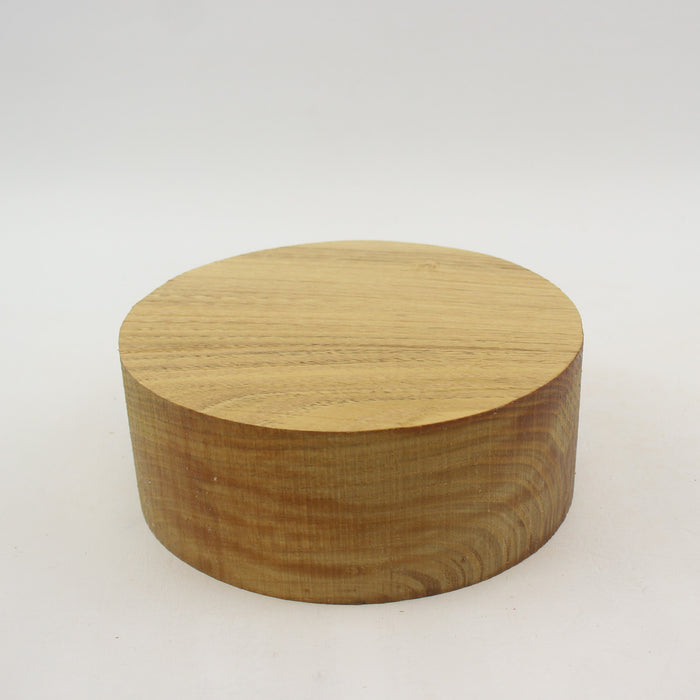 Robinia Round, 6.1" x 2.3" Thick  - Stock #41121