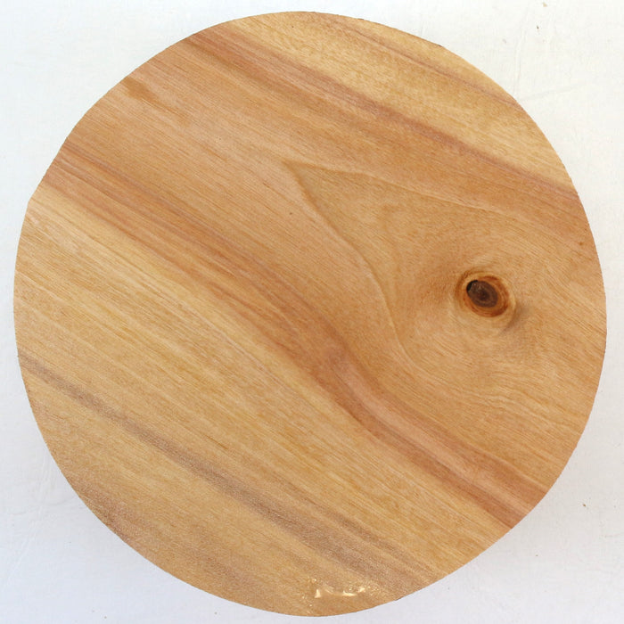 Birch Round, 7" x 2.8" Thick  - Stock #42512