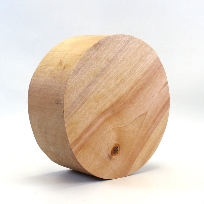 Birch Round, 7" x 2.8" Thick  - Stock #42512