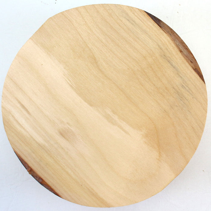 Birch Round, 7.2" x 2.8" Thick  - Stock #42505