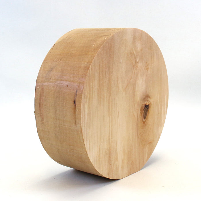 Birch Round, 7.2" x 2.8" Thick  - Stock #42505