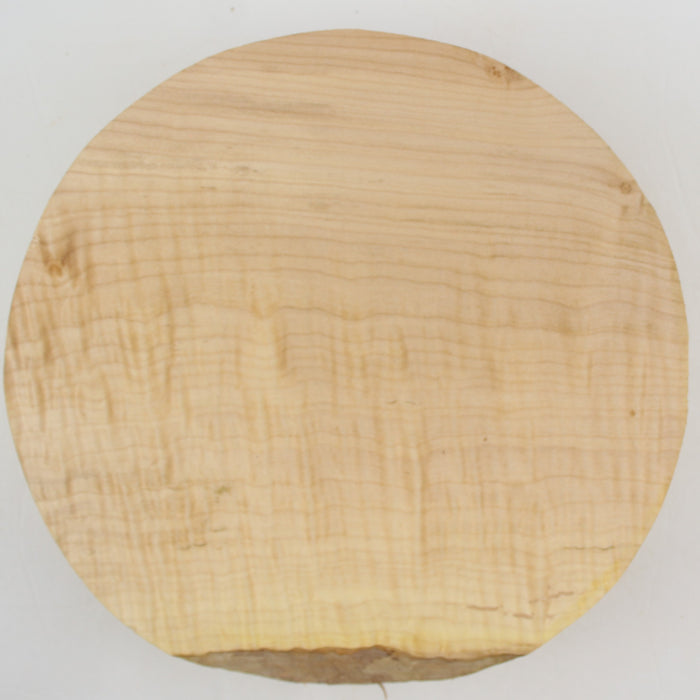 Maple Round, Highly Figured, 10" x 2.5" Thick  - Stock #41148