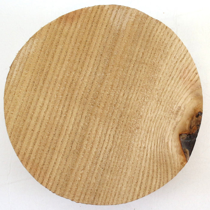 Sassafras Round, 5.1" x 2.8" Thick - Stock #41504