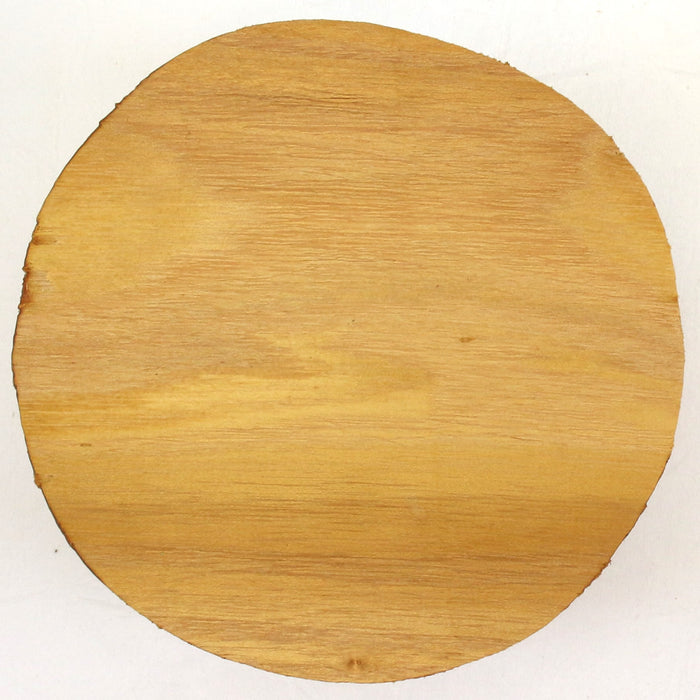 Acacia Round, 5" x 3" Thick  - Stock #42501