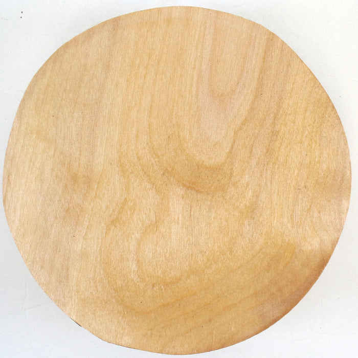 Birch Round, 7" x 2.6" Thick  - Stock #42508