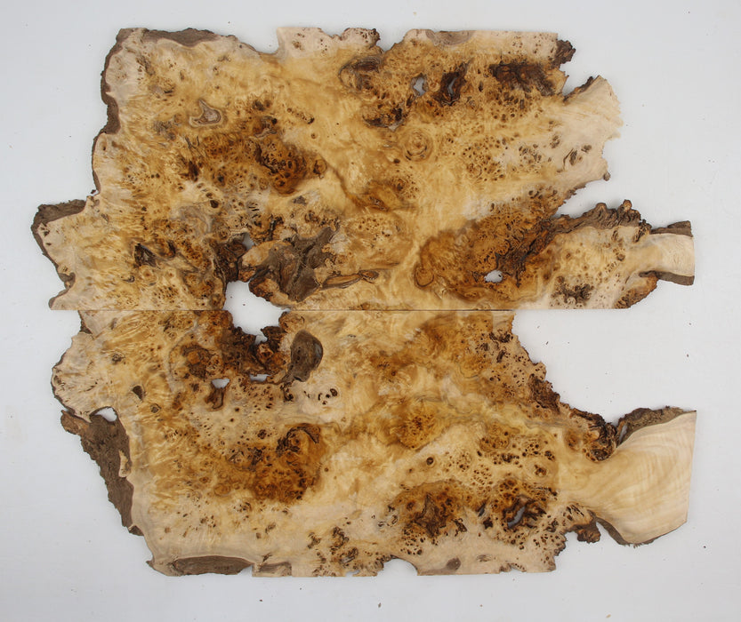 Cottonwood Burl Craftwood Set, 6.6mm (.26") Thick - Stock# 41177