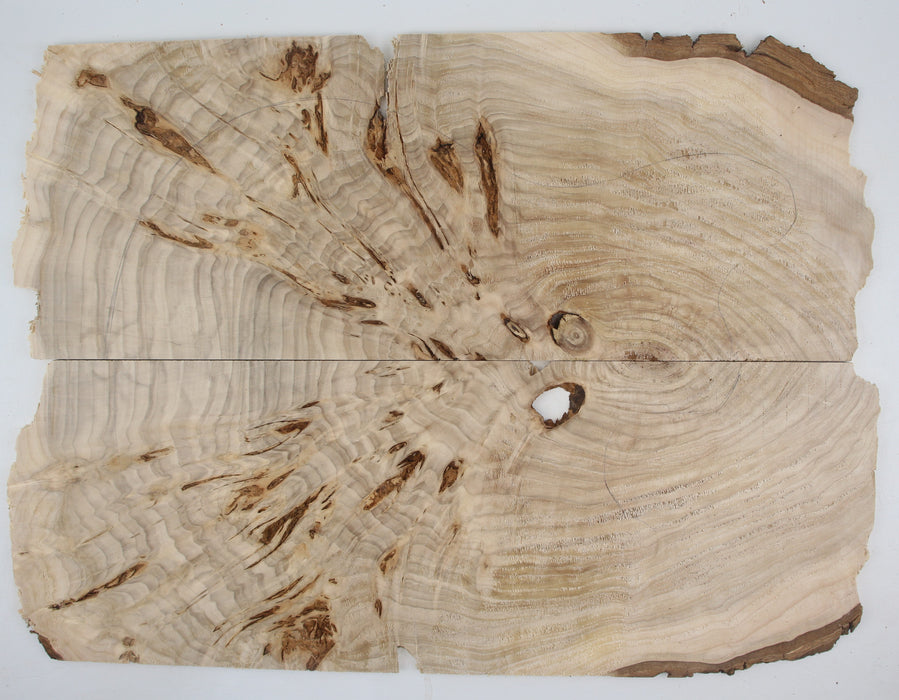 Cottonwood Burl Craftwood Set, 6.3mm (.24") Thick - Stock #41175