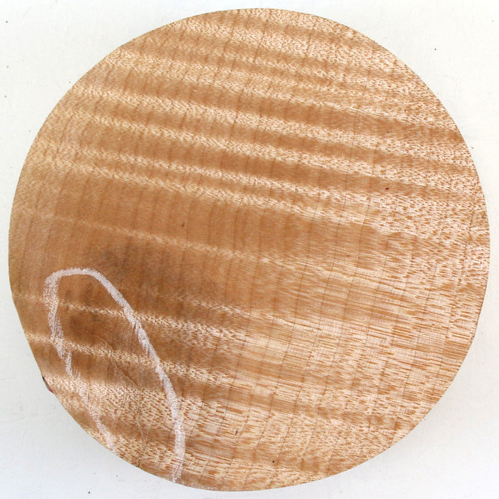Maple Round, Highly Figured, 6.1" x 1.8" Thick - Stock #42562