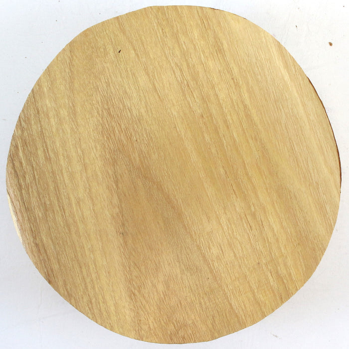 Acacia Round, 6.1" x 1.8" Thick  - Stock #42563