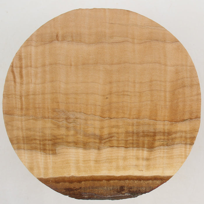 Maple Flame Spalt Round, Very Highly Figured, 6.1" x 3.3" Thick  - Stock #41190