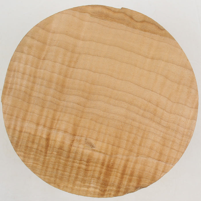 Maple Flame Spalt Round, Very Highly Figured, 6.1" x 3.3" Thick  - Stock #41190