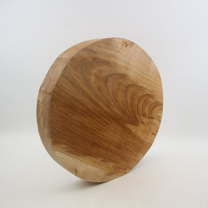 Maple Spalt Round, Figured, 13.7" x 2.3" Thick  - Stock #41188