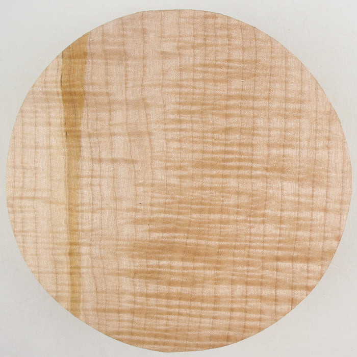 Maple Flame Round, Very Highly Figured, 7.9" x 2.1" Thick  - Stock #41233