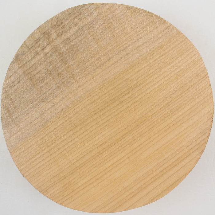 Maple Flame Round, Figured, 8" x 2.3" Thick  - Stock #41231