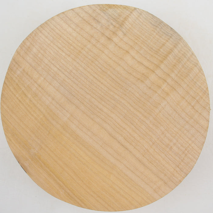 Maple Flame Round, Figured, 8" x 2.3" Thick  - Stock #41231