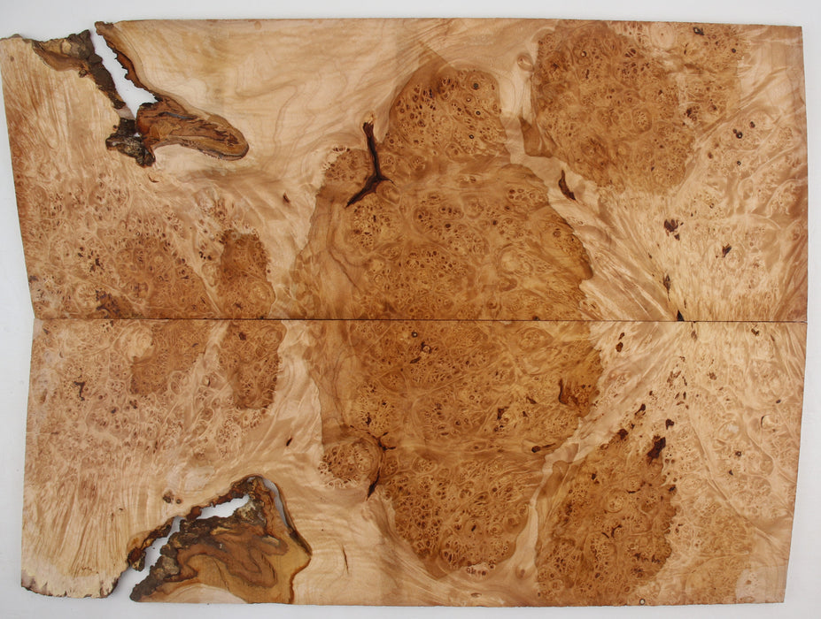 Maple Burl Guitar Set, 3A Highly Figured, 8.4mm (0.33") Thick - Stock #41267