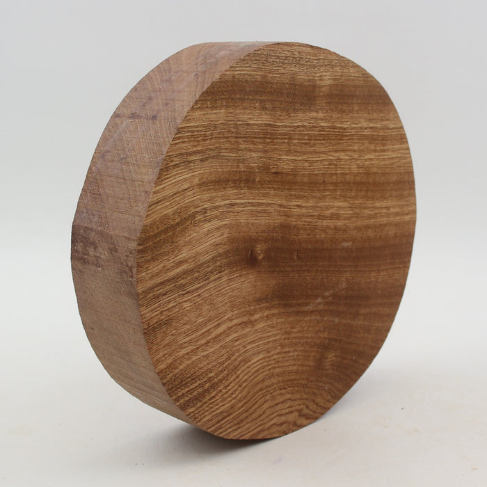 *Clearance* Sapele Round 7.0" x 1.8"Thick - Stock #41294