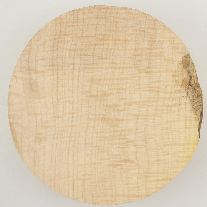 Maple Flame Round, Highly Figured, 9.1" x 2.4" Thick  - Stock #41292