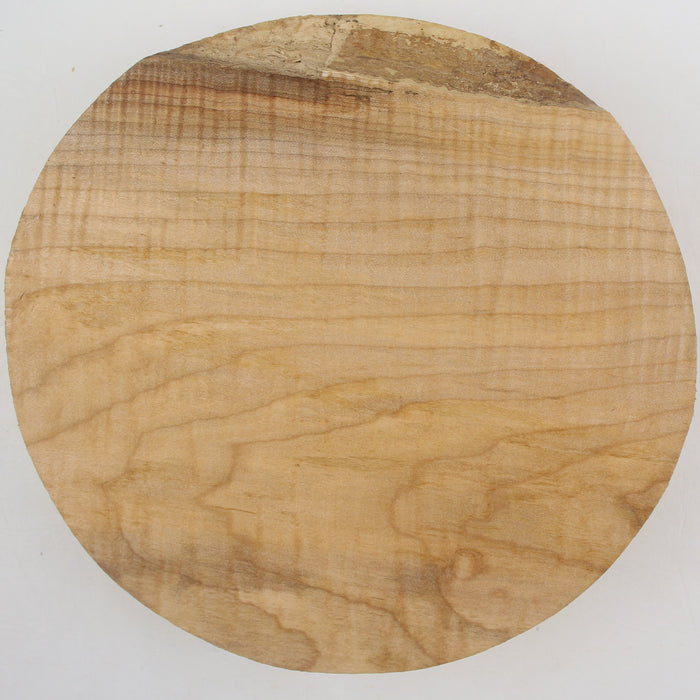 Maple Flame Round, Figured, 9.1" x 2.4" Thick  - Stock #41290