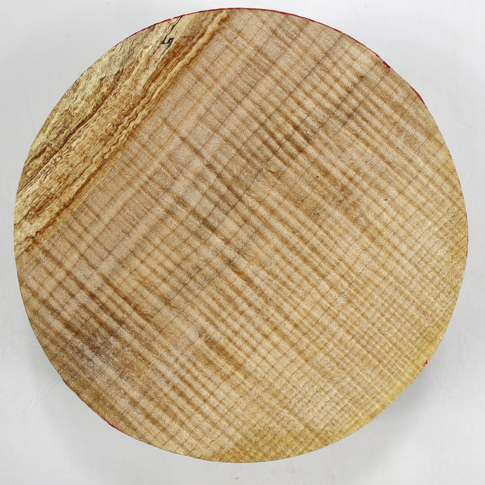 Maple Flame Spalted Round 6.9" x 3.1" Thick - Stock #40334